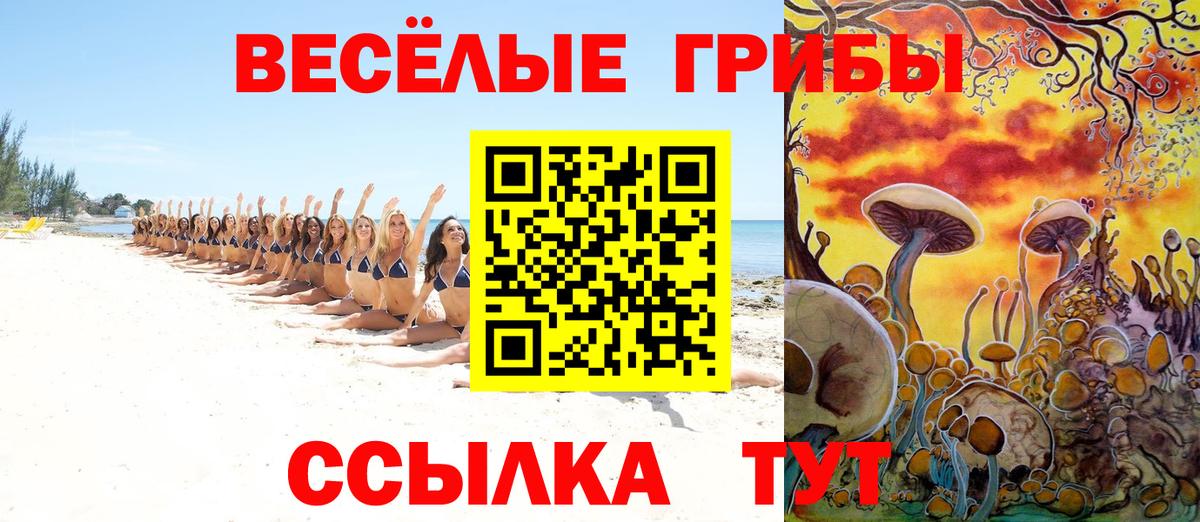 Тобольск  Галлюциногенные грибы Psilocybine cubensis  Вход с VPN 